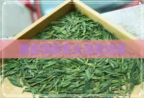 银壶泡茶怎么泡普洱茶