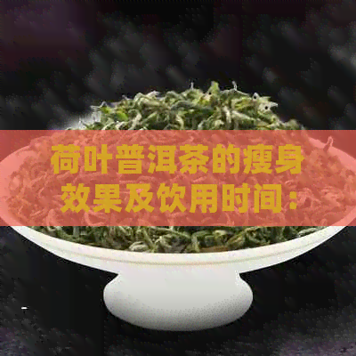 荷叶普洱茶的瘦身效果及饮用时间：健减肥的新选择