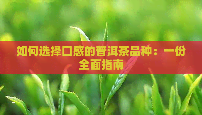 如何选择口感的普洱茶品种：一份全面指南