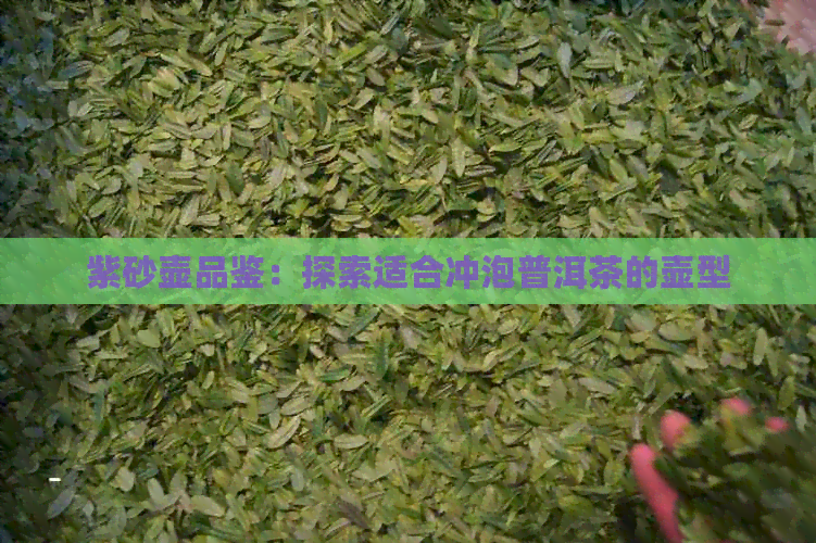 紫砂壶品鉴：探索适合冲泡普洱茶的壶型