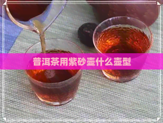 普洱茶用紫砂壶什么壶型