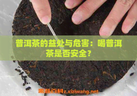 普洱茶的益处与危害：喝普洱茶是否安全？