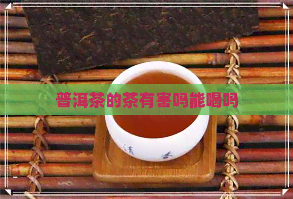 普洱茶的茶有害吗能喝吗