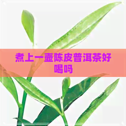 煮上一壶陈皮普洱茶好喝吗