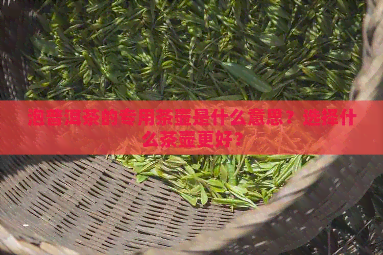 泡普洱茶的专用茶壶是什么意思？选择什么茶壶更好？