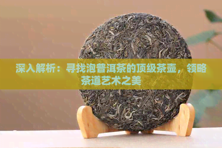 深入解析：寻找泡普洱茶的顶级茶壶，领略茶道艺术之美