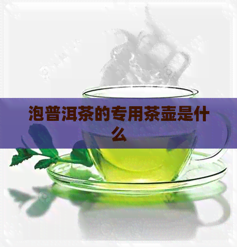 泡普洱茶的专用茶壶是什么