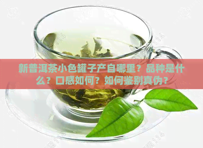 新普洱茶小色罐子产自哪里？品种是什么？口感如何？如何鉴别真伪？