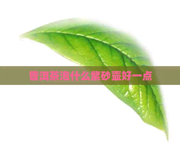 普洱茶泡什么紫砂壶好一点