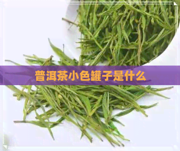 普洱茶小色罐子是什么