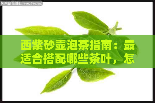 西紫砂壶泡茶指南：最适合搭配哪些茶叶，怎样泡才能展现其口感？