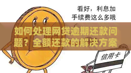 如何处理网贷逾期还款问题？全额还款的解决方案及建议