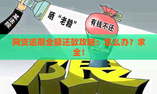 网贷逾期全额还款攻略：怎么办？求全！