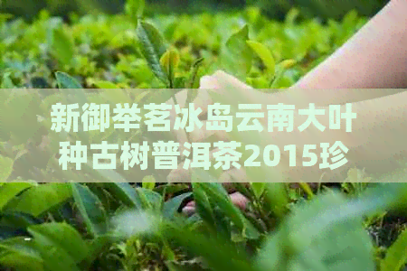 新御举茗冰岛云南大叶种古树普洱茶2015珍藏版茶饼价格及特点解析