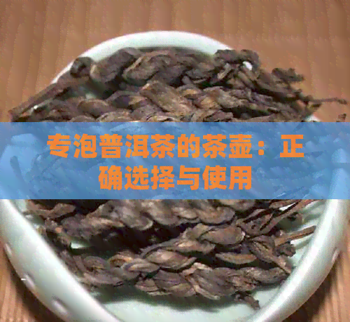 专泡普洱茶的茶壶：正确选择与使用