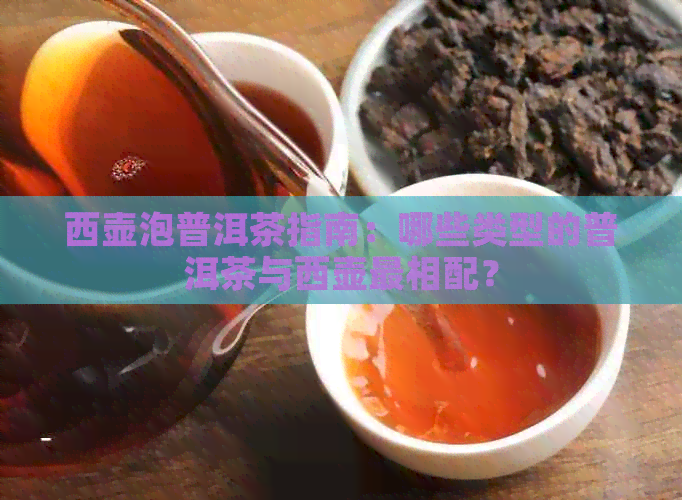 西壶泡普洱茶指南：哪些类型的普洱茶与西壶最相配？