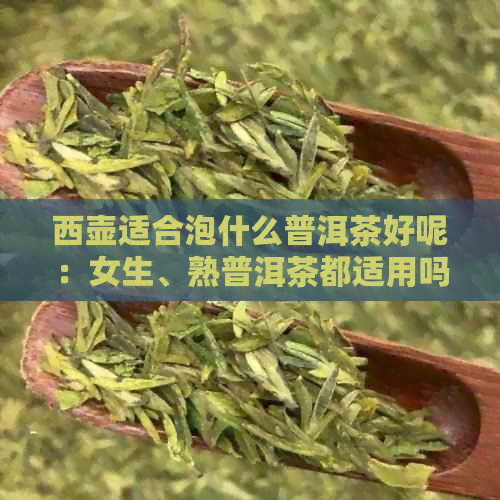 西壶适合泡什么普洱茶好呢：女生、熟普洱茶都适用吗？