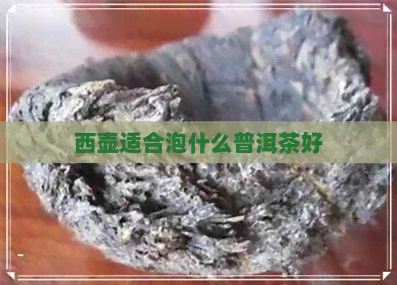 西壶适合泡什么普洱茶好