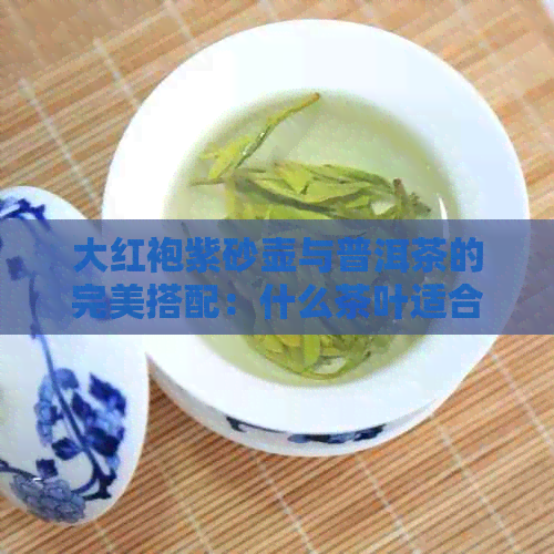 大红袍紫砂壶与普洱茶的完美搭配：什么茶叶适合泡在大红袍紫砂壶中？