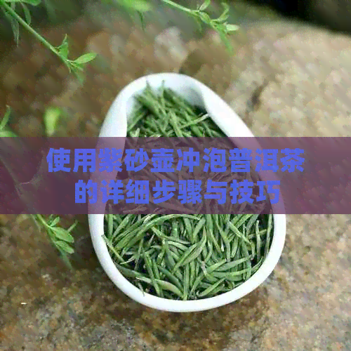 使用紫砂壶冲泡普洱茶的详细步骤与技巧