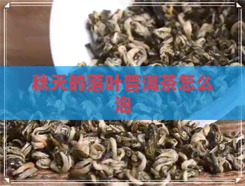 秋天的落叶普洱茶怎么泡