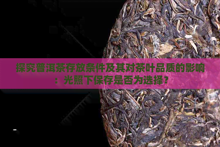 探究普洱茶存放条件及其对茶叶品质的影响：光照下保存是否为选择？