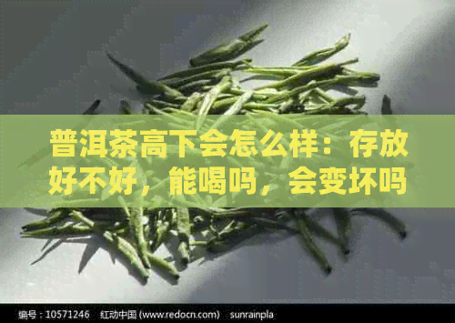 普洱茶高下会怎么样：存放好不好，能喝吗，会变坏吗？