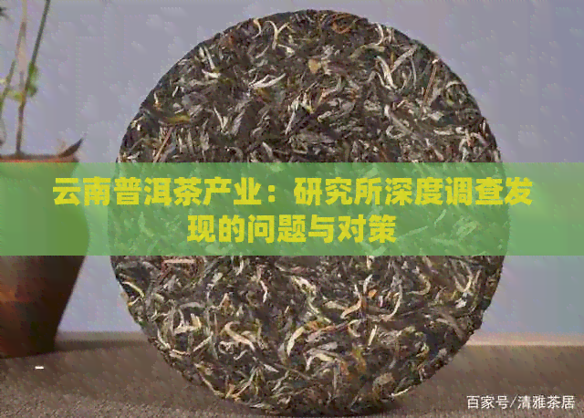 云南普洱茶产业：研究所深度调查发现的问题与对策