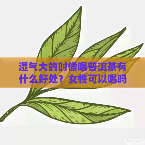 湿气大的时候喝普洱茶有什么好处？女性可以喝吗？