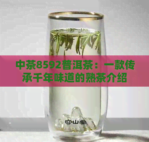 中茶8592普洱茶：一款传承千年味道的熟茶介绍