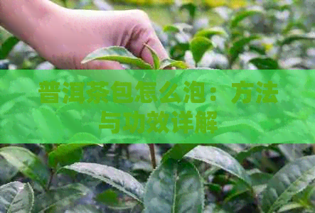 普洱茶包怎么泡：方法与功效详解