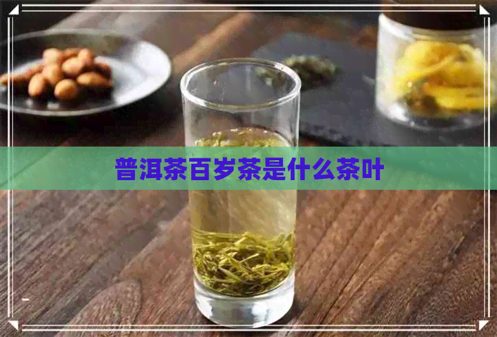 普洱茶百岁茶是什么茶叶