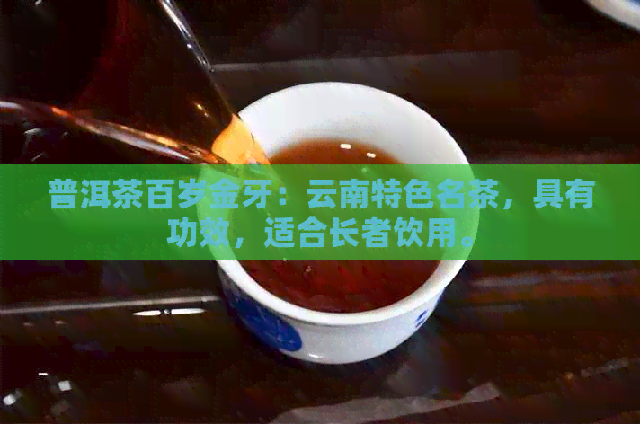 普洱茶百岁金牙：云南特色名茶，具有功效，适合长者饮用。