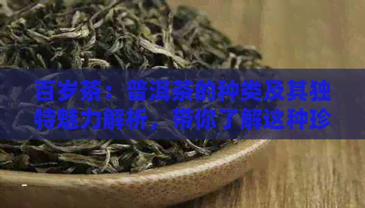 百岁茶：普洱茶的种类及其独特魅力解析，带你了解这种珍贵茶文化的奥秘