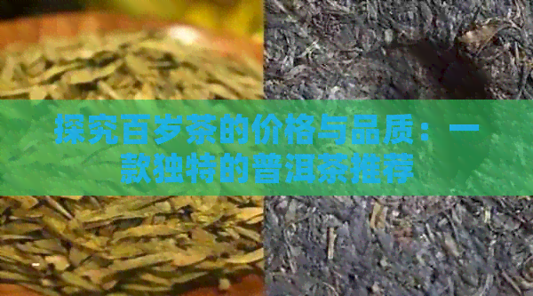 探究百岁茶的价格与品质：一款独特的普洱茶推荐