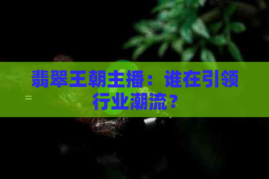 翡翠王朝主播：谁在引领行业潮流？