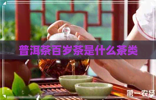 普洱茶百岁茶是什么茶类