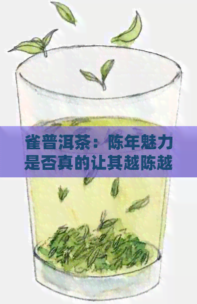 雀普洱茶：陈年魅力是否真的让其越陈越香？