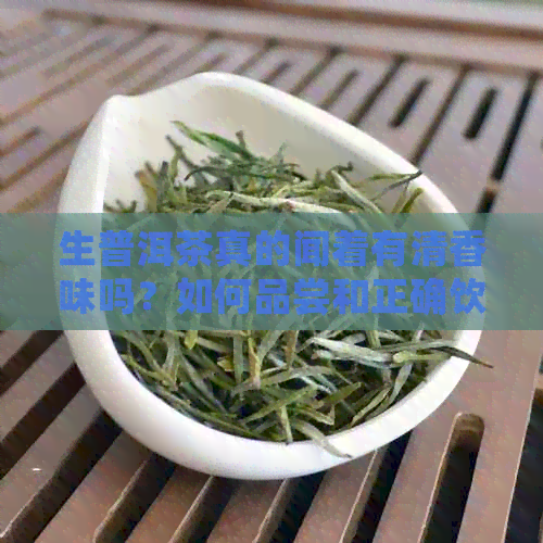 生普洱茶真的闻着有清香味吗？如何品尝和正确饮用生普洱茶？