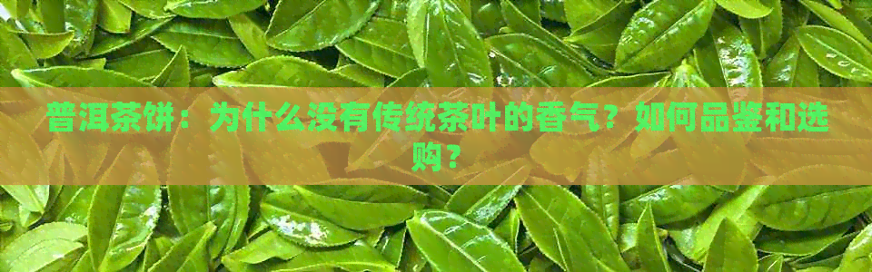 普洱茶饼：为什么没有传统茶叶的香气？如何品鉴和选购？