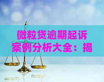 微粒贷逾期起诉案例分析大全：揭示刑事与民事诉讼点