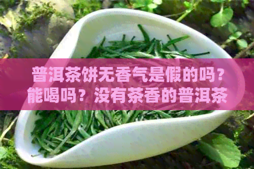 普洱茶饼无香气是假的吗？能喝吗？没有茶香的普洱茶饼是否真实？是否有？