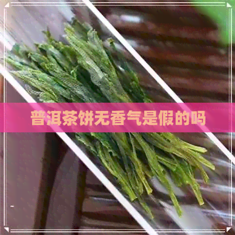 普洱茶饼无香气是假的吗