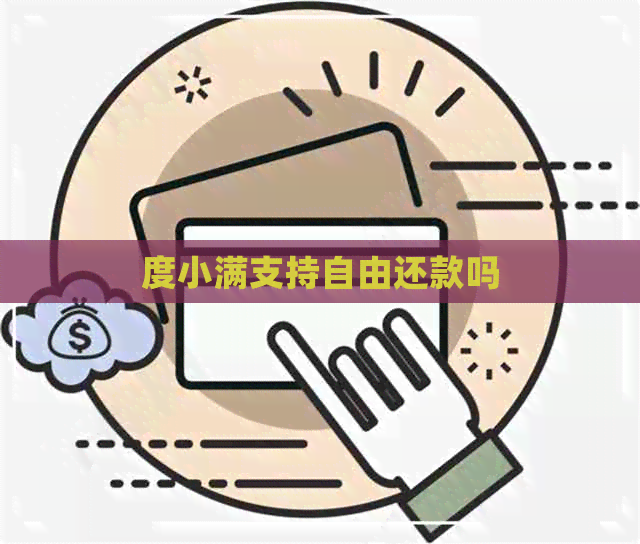 度小满支持自由还款吗