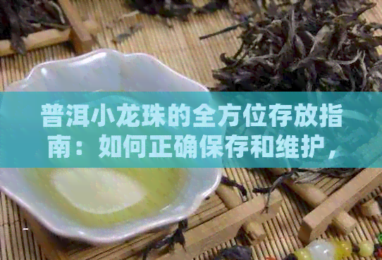 普洱小龙珠的全方位存放指南：如何正确保存和维护，让茶香持久迷人