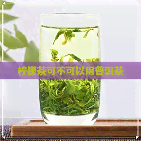 柠檬茶可不可以用普洱茶