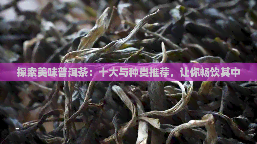 探索美味普洱茶：十大与种类推荐，让你畅饮其中