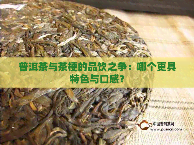 普洱茶与茶梗的品饮之争：哪个更具特色与口感？