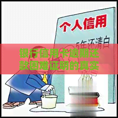 银行信用卡逾期还款困难证明的真实挑战：协商与贫困问题