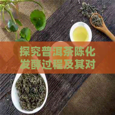 探究普洱茶陈化发酵过程及其对茶叶品质的影响